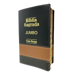 Bíblia Sagrada Letra Jumbo
